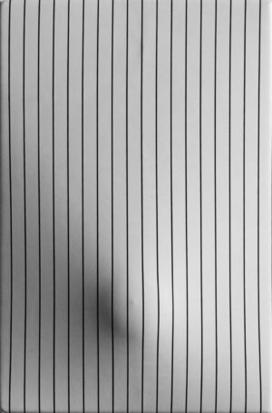 Bianco e nero 1968