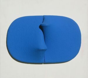 Blu 1969