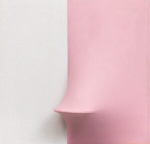 Bianco e rosa 1971