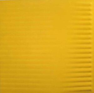 Giallo 1981
