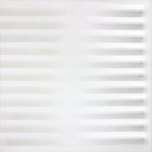 Bianco 1981