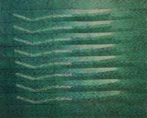 Verde 1981