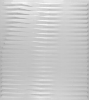 Bianco 1981