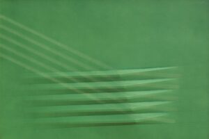 Verde 1981