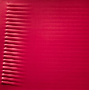 Rosso 1981