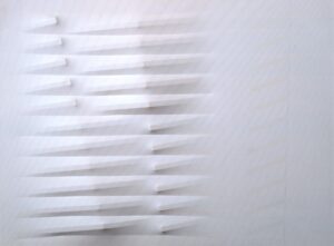 Bianco 1981