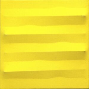 Giallo 1981