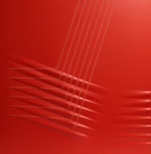 Rosso 1981