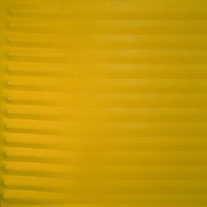 Giallo 1981