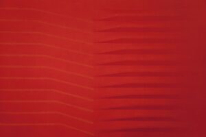Rosso 1981