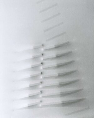 Bianco 1983