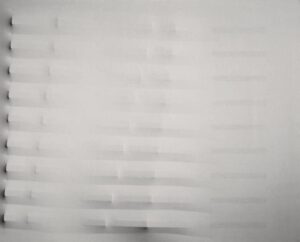 Bianco 1983