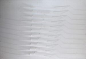 Bianco 1983