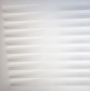 Bianco 1983