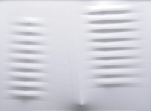 Bianco 1988