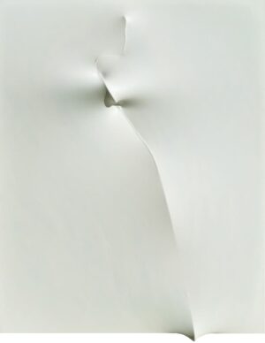 Bianco 1990