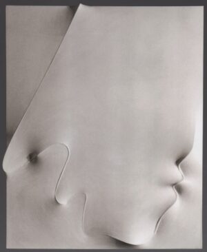 Bianco 1990