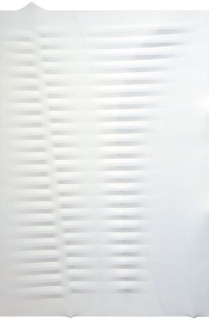 Bianco 1990