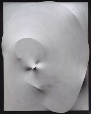 Bianco 1991