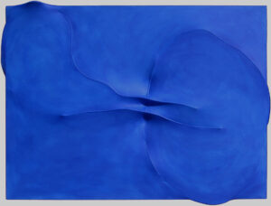 Blu 1991