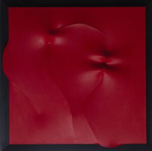Rosso 1991