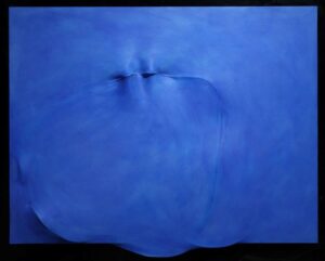 Blu 1991