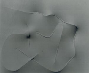 Blu 1993