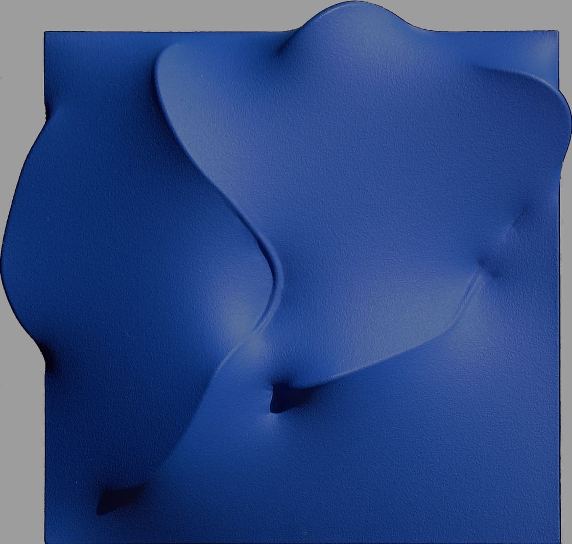 Blu 1993