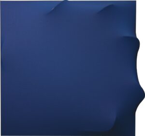Blu 1993