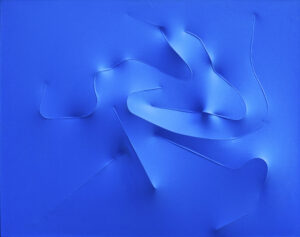 Blu 1993
