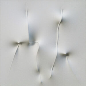 Bianco 1993