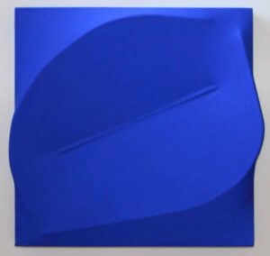 Blu 1993