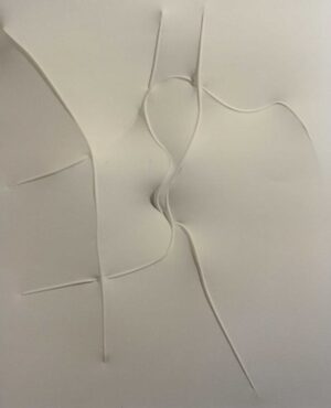 Bianco 1995