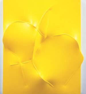 Giallo 1995